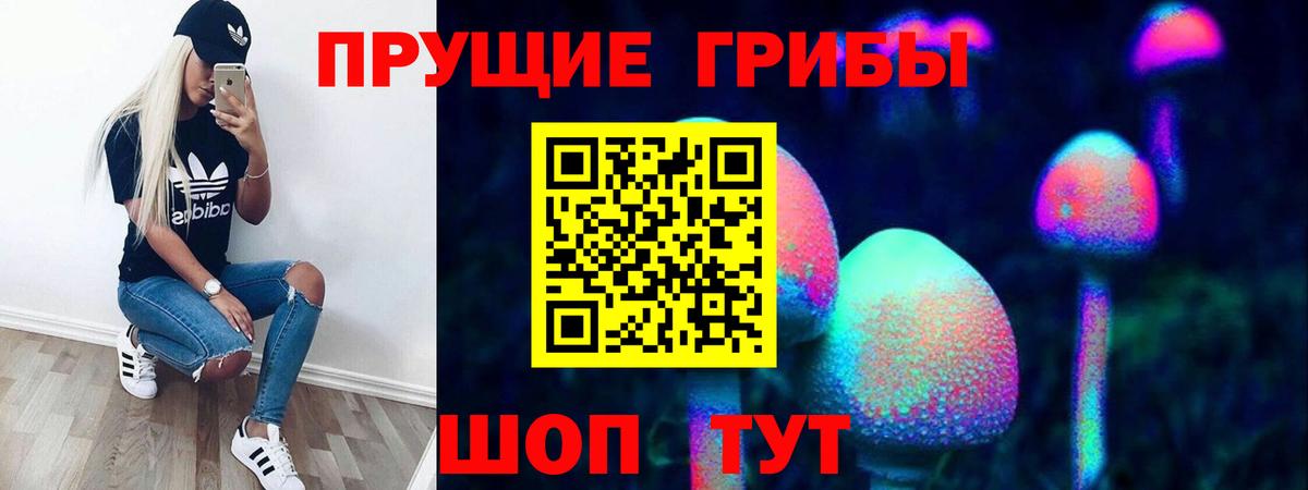 Псилоцибиновые грибы Psilocybe  Галлюциногенные грибы мухоморы  Рыбинск  Вход с VPN 